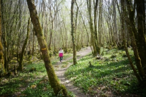 Forêt d'Epagne