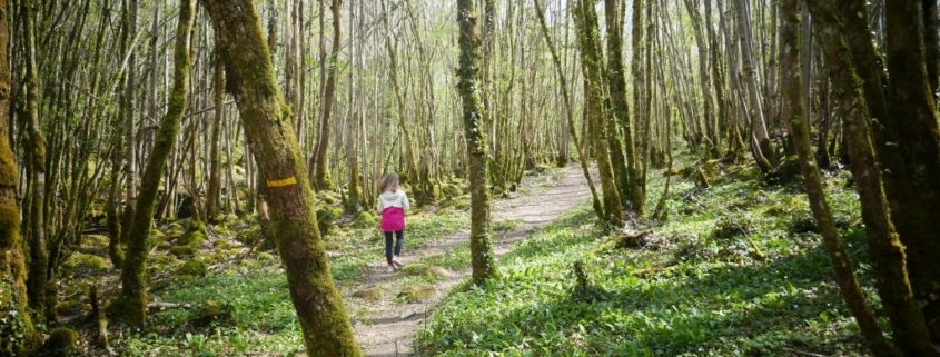 Forêt d'Epagne